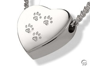 Assieraden dieren